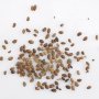100 бр. Семена от гигантска хранителна къпина антиоксидант със здравословни качества, фибри, снимка 8