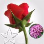 метален резец звезда цвете звезден куп Галакси за направа роза украса декорация торта шоколад фондан