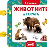 Животните в гората, снимка 1 - Детски книжки - 22827292