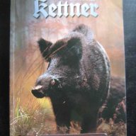 Книга "Kettner - Hauptkatalog 2003 / 2004"-368 стр., снимка 1 - Специализирана литература - 7940026