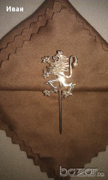 Сребърно лъвче, снимка 1