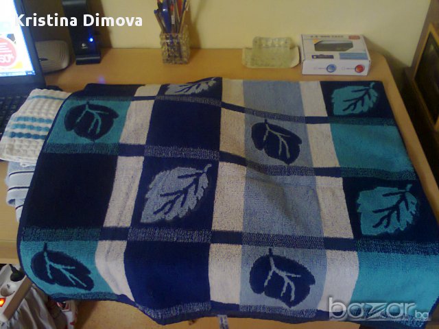 ПЛАЖНИ  КЪРПИ   , снимка 1