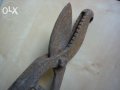 Старинни вет.медицински ножици за скопяване на животни, снимка 2