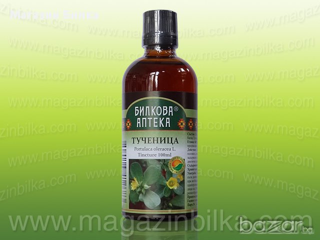 Билка Тученица - тинктура, снимка 1