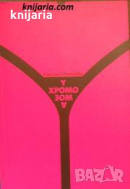 У-хромозома 