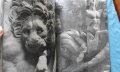 Алтарь Зевса в Пергаме - Григорий Белов, снимка 8