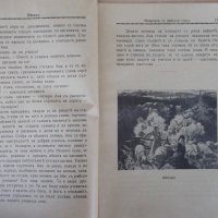 Списание "*Венецъ* - книжка 1 - октомврий 1936 г." - 64 стр., снимка 4 - Списания и комикси - 21817597