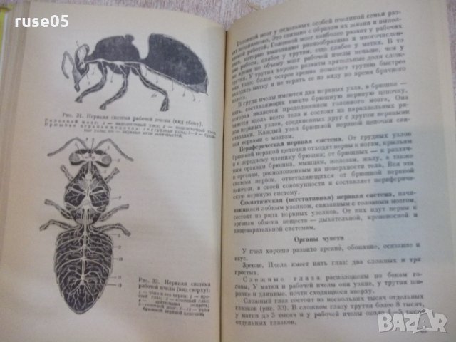 Книга "Пчеловодство - П. С. Щербина" - 624 стр., снимка 5 - Специализирана литература - 21803271