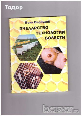 Пчеларство, технологии, болести, снимка 1 - Художествена литература - 9699842