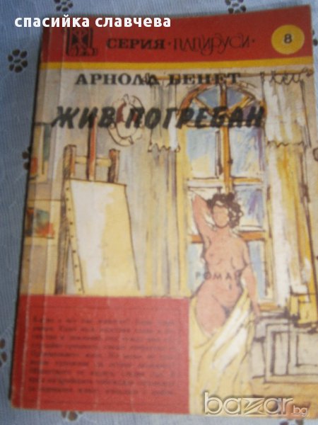 роман, снимка 1