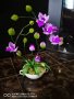 Орхидейка, снимка 1 - Романтични подаръци - 24359505