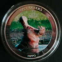 100 шилинга 2010(Hippo), Уганда, снимка 1 - Нумизматика и бонистика - 25918309