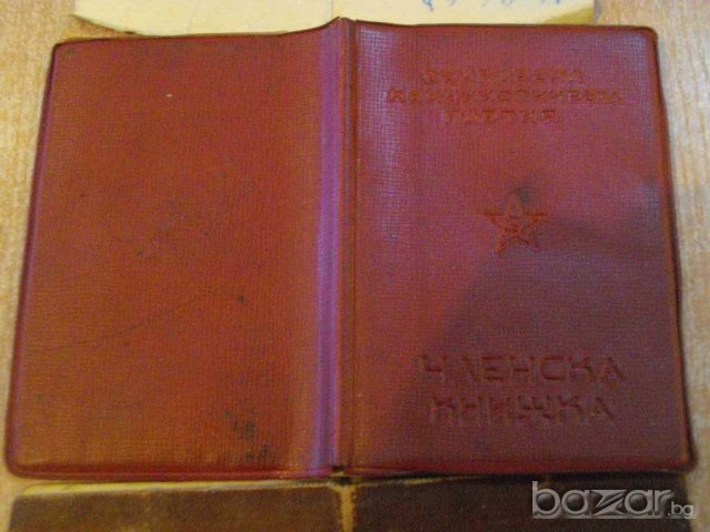 Лот от членски карти - 3 бр., снимка 7 - Други ценни предмети - 7623060