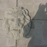 Лъвска глава