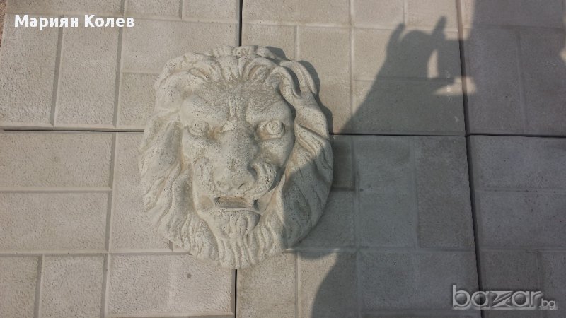 Лъвска глава, снимка 1