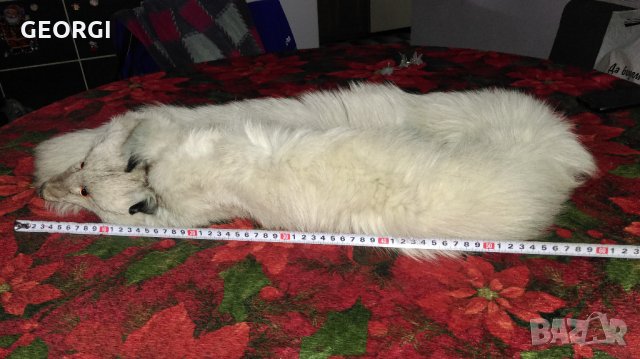 яка сребърна лисица нова, снимка 4 - Шапки - 21490057