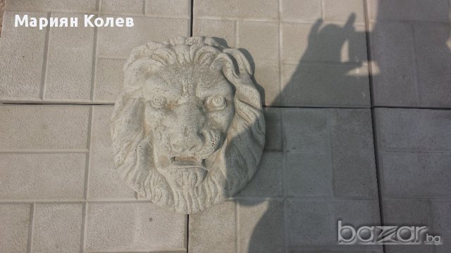 Лъвска глава, снимка 1 - Други ремонти - 11496130