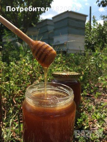Мед (домашен, натурален, многоцветен букет), снимка 15 - Пчелни продукти - 22186355