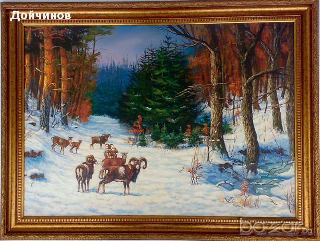 Муфлони в гора, зима, картина за ловци