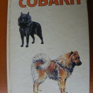 Луксозен каталог за кучета, снимка 1 - Художествена литература - 17373071