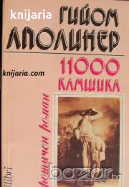 11000 камшика или похожденията на един принц , снимка 1