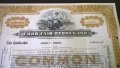 Сертификат за притежание на 2 акции (САЩ) | Food Fair Stores, INC. | 1958г., снимка 2