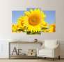 Картина Слънчогледи, картинно пано, картина цветя, канава, декоративно пано от части № 070, снимка 2