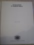 Книга "EL DIABLITO BAILA - Amadeo Roldán" - 2 стр., снимка 2