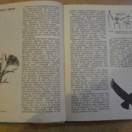 Книга "Как люди научились летать - В.Гончаренко" - 176 стр., снимка 4 - Художествена литература - 7957924