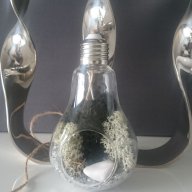 Уникална, модерна, стъклена арт декорация тип крушка от естествен мъх, снимка 4 - Декорация за дома - 18388892