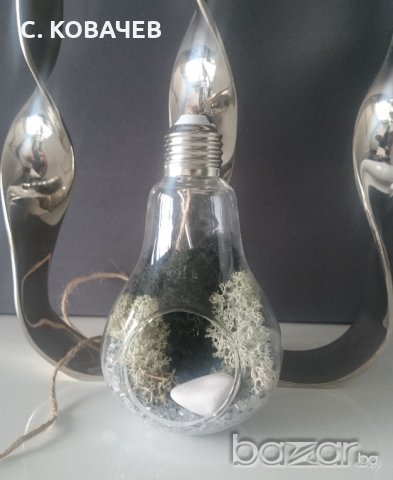 Уникална, модерна, стъклена арт декорация тип крушка от естествен мъх, снимка 4 - Декорация за дома - 18388892