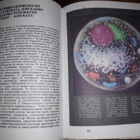 Атлас - клетка и тъкани, снимка 6 - Учебници, учебни тетрадки - 24754270