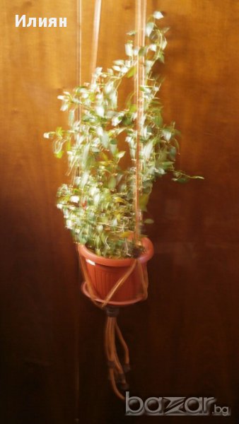 Мекремета, снимка 1