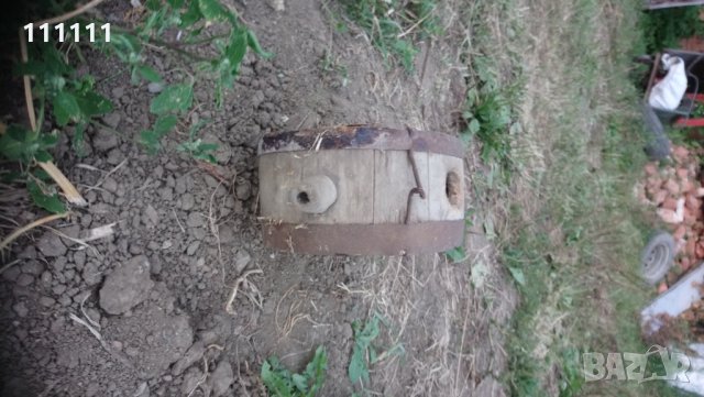 Бъклица , снимка 6 - Други ценни предмети - 26186467