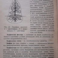 Экологический словарь - Быков Б.А., снимка 2 - Художествена литература - 17671470