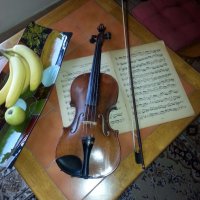 Уроци по цигулка, пиано и английски. Violin and piano lessons
