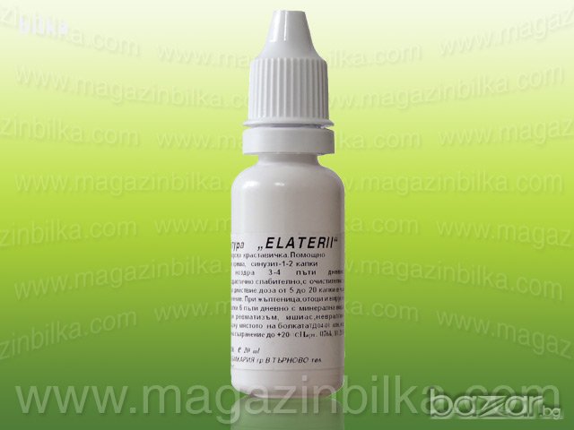 Тинктура от Морска краставица