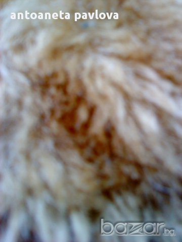 леопардово  палто , снимка 4 - Палта, манта - 12152867