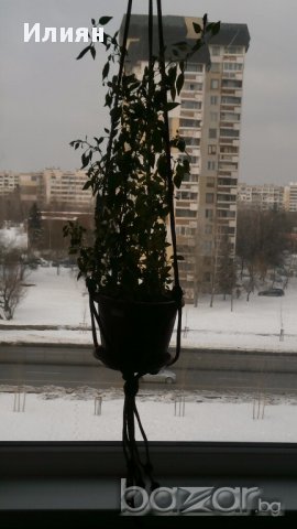 Мекремета, снимка 3 - Декорация за дома - 17119357