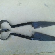 Стара ножица за стригане на овце , снимка 1 - Други стоки за животни - 17541133