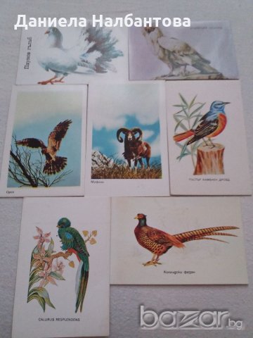 Календарчета за колекционери, снимка 4 - Филателия - 18648681