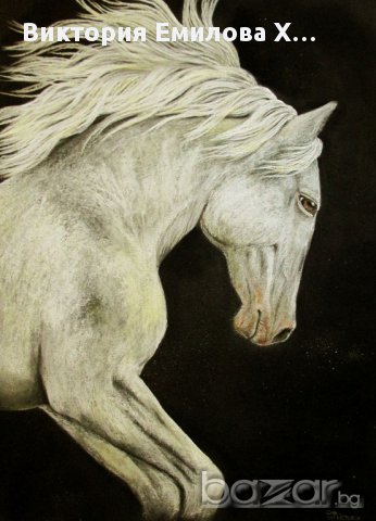 Продавам картини, снимка 5 - Картини - 7784356