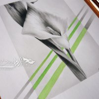Рисунка "Кала" - молив и акварел, снимка 4 - Картини - 22223900