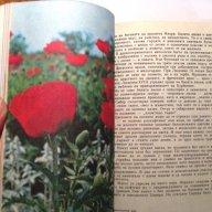 Дъга от цветя, снимка 13 - Специализирана литература - 18492514