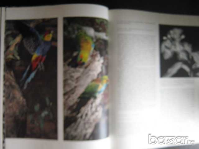 Книга "L,AUSTRALIE ET LES ILES DU SUD - ALLEN KEAST" - 300 стр., снимка 4 - Специализирана литература - 7602673