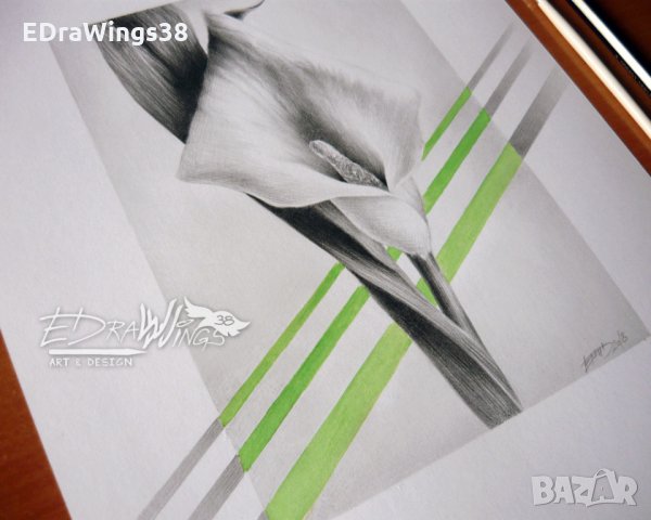 Картина "Цвете Кала" Рисунка с молив и акварел, снимка 4 - Картини - 22223900
