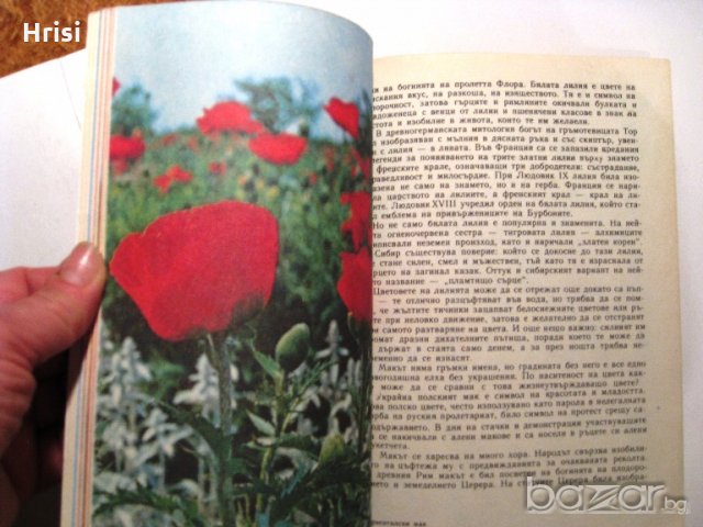 Дъга от цветя, снимка 13 - Специализирана литература - 18492514