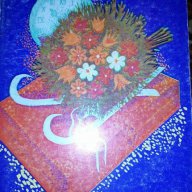 Сребърните кънки - Мери Мейпс Додж, снимка 1 - Художествена литература - 16982680
