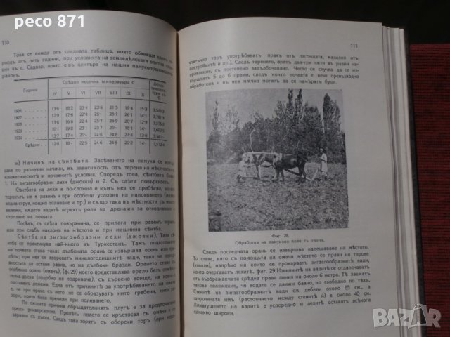 Памук-Стопанско значение и култура 1932г.-Йосиф Ковачев, снимка 4 - Специализирана литература - 21672674