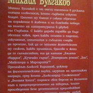 Книга "Михаил Булгаков - Алексей Варламов" - 848 стр., снимка 6 - Художествена литература - 14168591